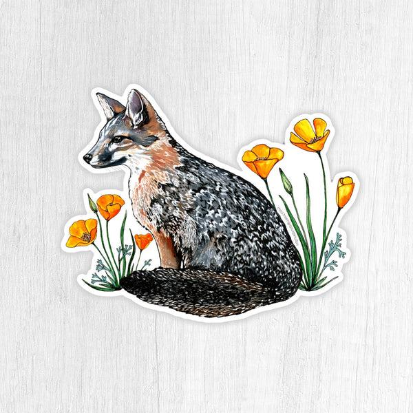Channel Island Fox Sticker